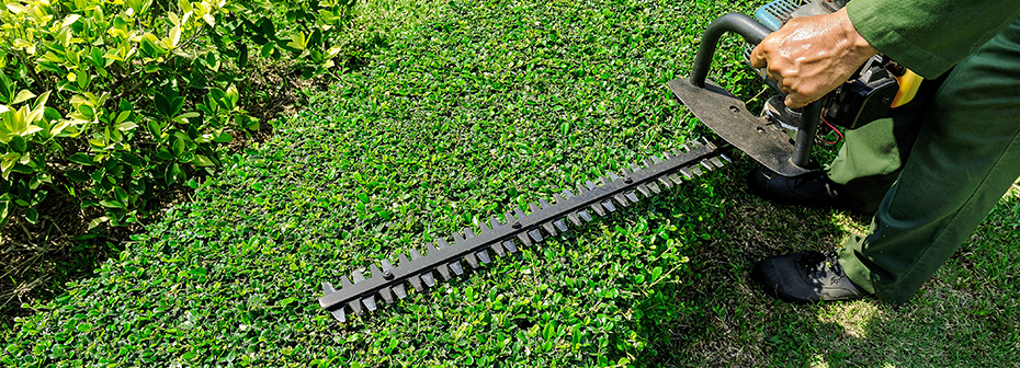 Commercial Maintenance 2