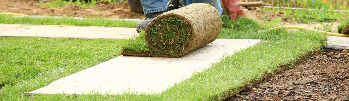 Lawn Installation
